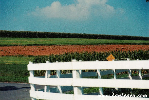 Farm field and fence