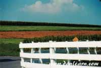 Farm field and fence