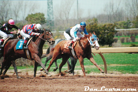 Horse racing at Fort Erie