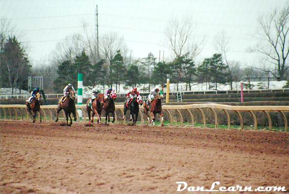 Horse racing at Fort Erie