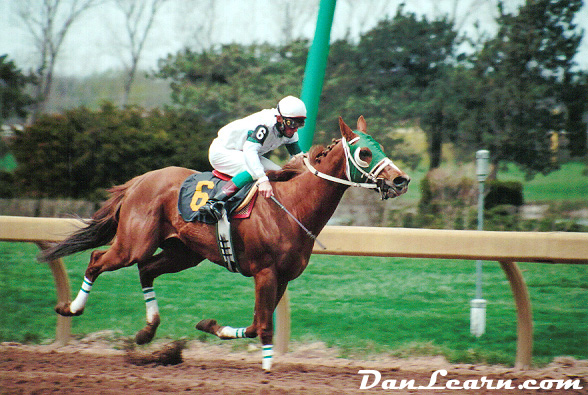 Horse racing at Fort Erie