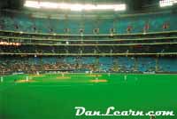 Baseball at SkyDome