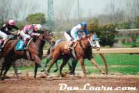 Horse racing at Fort Erie