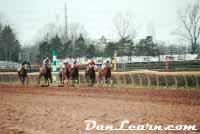 Horse racing at Fort Erie