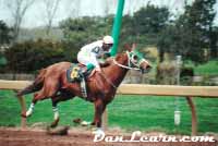 Horse racing at Fort Erie