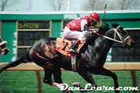 Horse racing at Fort Erie