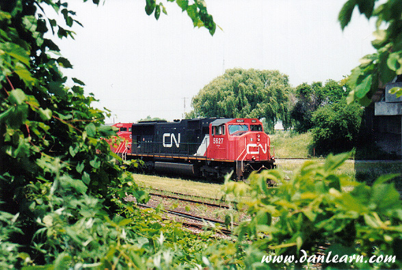CN locomotive behind brush