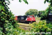 CN locomotive behind brush