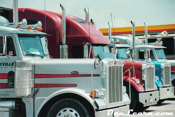 Line of parked trucks